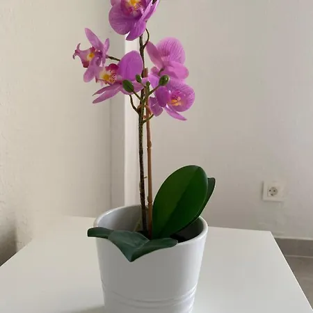 Apartamento Apartamento Tiaibin *